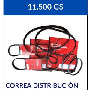 CORREA DE DISTRIBUCION (NT)