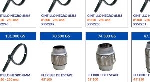 FLEXIBLE DE ESCAPE